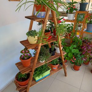 Wooden City Ahşap Kitaplık Ahşap Merdiven Kitaplık Ahşap Saksılık Raf